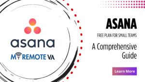 Free Internal Link Auditor - My Remote VA Company